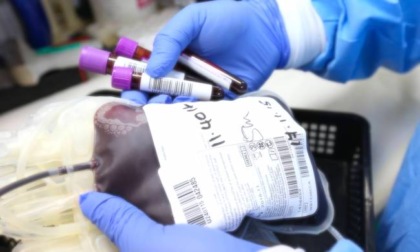 Dimesso il bimbo della famiglia modenese che voleva sangue no vax per la sua operazione