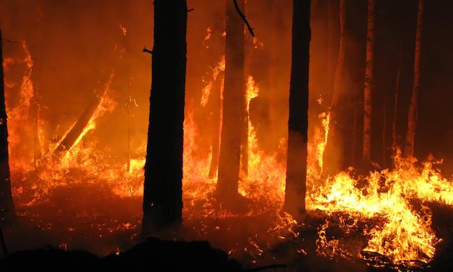 Rischio incendi boschivi, da sabato 26 marzo in Emilia-Romagna scatta l’allerta arancione