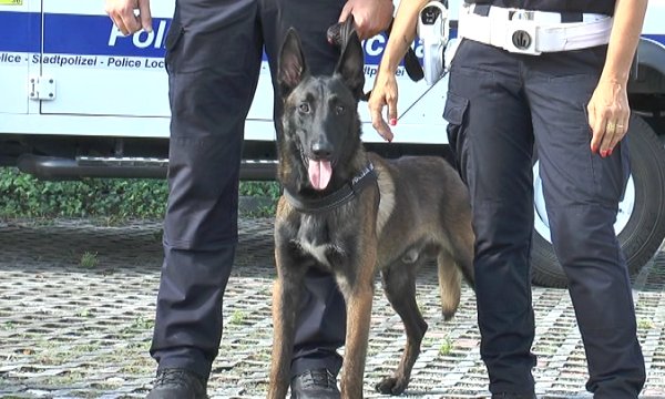 Pit fiuta la droga e fa arrestare uno spacciatore al parco Pertini