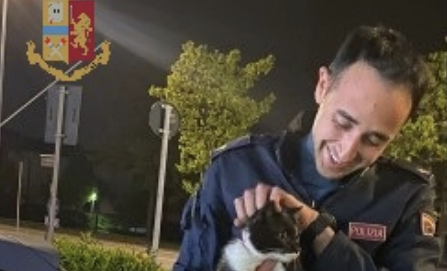 Gattino scappa e vaga per giorni: recuperato dalla Polizia