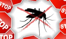 Modena, riparte la lotta alle zanzare