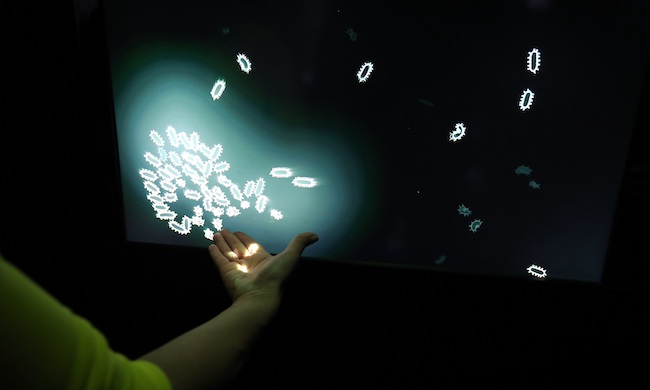 “Illusion”, l’esposizione interattiva in cui niente è come sembra arriva a Modena