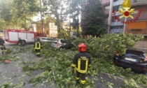 La provincia di Modena colpita dal maltempo: danni e disagi