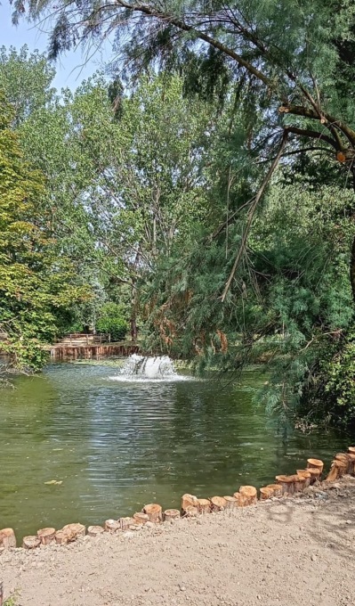 Parco della Repubblica, terminati i lavori sui laghetti