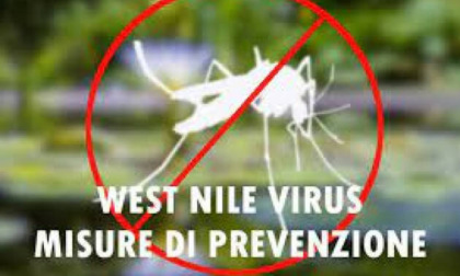 Primo decesso nel modenese per zanzara west nile