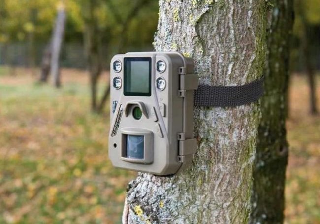 Sassuolo, al via l’installazione di 2 nuove fototrappole contro l’abbandono dei rifiuti