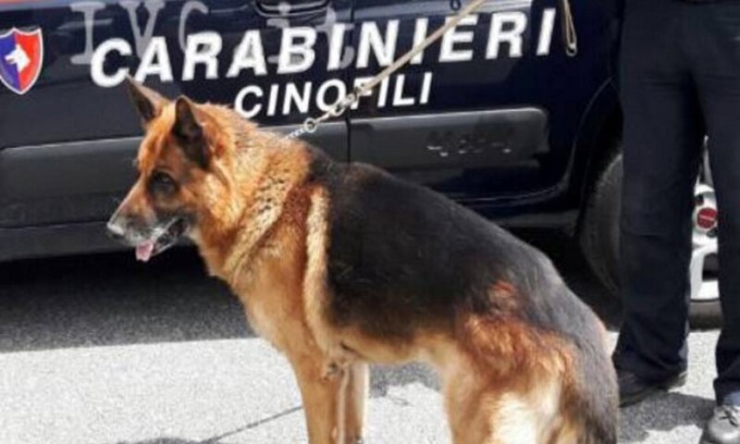 Serramazzoni, blitz antidroga alla Scuola Alberghiera e Ristorazione