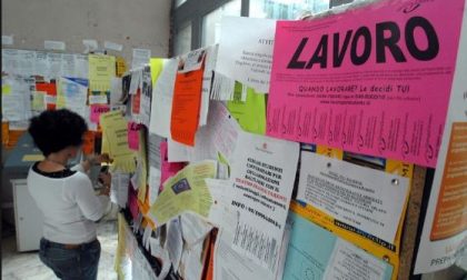 Cerchi o offri un lavoro? Ci pensa la Camera di Commercio