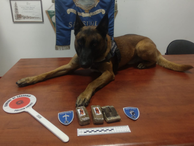Il fiuto de cane antidroga Hector non fallisce: beccati 5 barattoli di marijuana