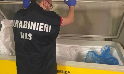 In ristorante etnico trovati vari prodotti scaduti e gravi carenze igieniche