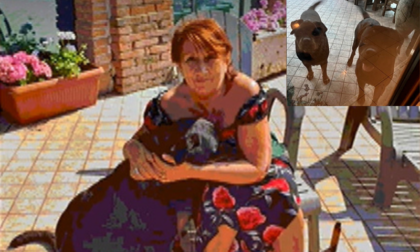 Concordia sulla Secchia, 68enne muore dopo essere stata sbranata dai suoi cani