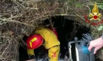 Vigili del fuoco salvano un cucciolo di cane caduto in un pozzo