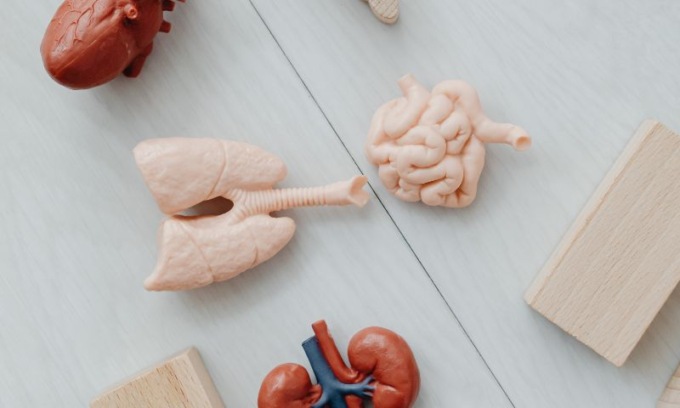 Giornata per la donazione degli organi, Modena città del “sì”