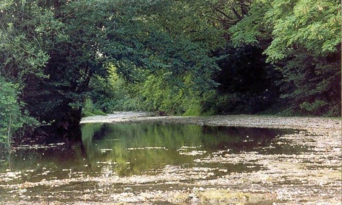 Strade modenesi in difficoltà per il maltempo. Preoccupante il livello del Tiepido