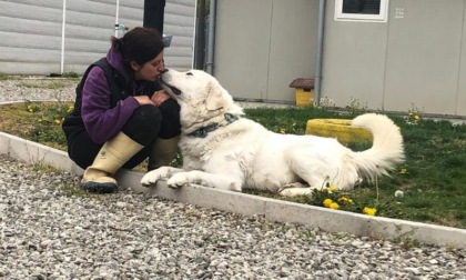 Dal Comune di Modena un aiuto per le spese del  tuo animale