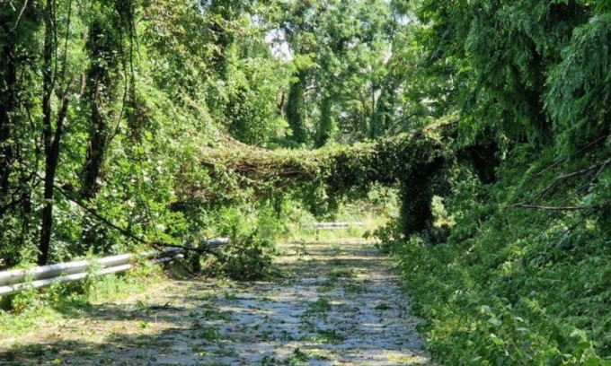Tromba d’aria nel Pavullese e a Lama Mocogno