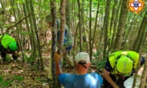 Fungaiolo bloccato nei boschi di Fanano per un trauma: recuperato dal Soccorso Alpino