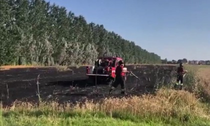 Incendio a Nonantola: distrutti dalle fiamme 7 mila metri quadrati di grano