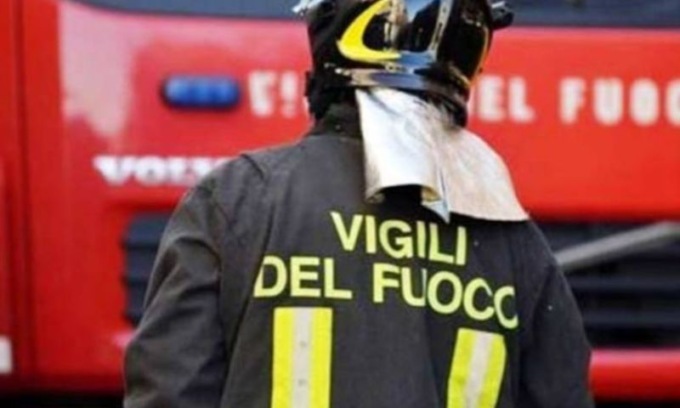 Muore mentre pota un albero