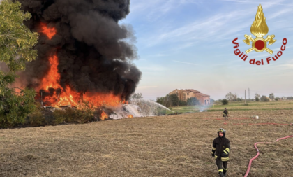 incendio carpi