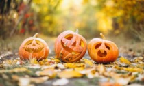 Halloween: sei famiglie su dieci festeggeranno la festa delle "streghe"
