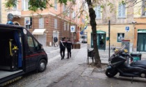 L'arrivo dei Carabinieri fa saltare un furto: un arresto