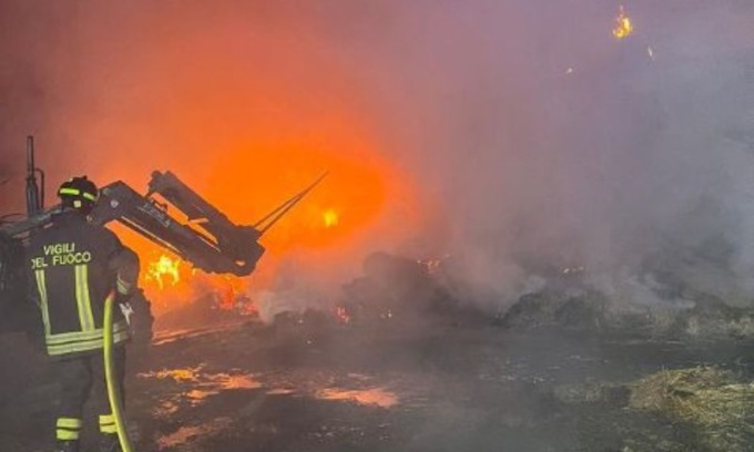Fiamme nella notte in un allevamento: in salvo 140 capi di bestiame