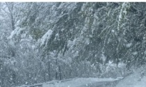 Tanta neve in Appennino:  30 centimetri nell'alto Frignano con forti disagi