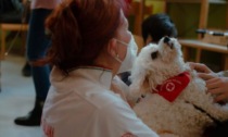 Primo bando di Pet Therapy: dalla Regione 200mila euro in aiuto dei nostri amici animali