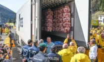 Allarme Coldiretti: i prosciutti di Modena con le coscie dei maiali  provenienti dalla Danimarca