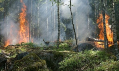 Da lunedì prossimo pericolo incendi in tutta la Regione