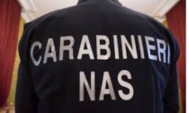 Carabinieri Nas: trovate irregolarità durante alcuni controlli in Provincia di Modena