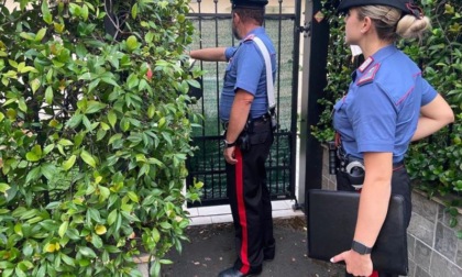 Entra di notte in una abitazione da una portafinestra per rubare, ma è fermato da un intero condominio