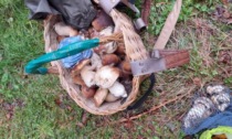 Raccolta funghi: sequestrati dieci chilogrammi