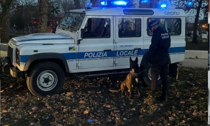 Ubriaco oppone resistenza alla Polizia locale: denunciato