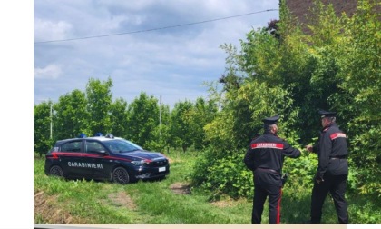 Occupano abusivamente un'abitazione e si allacciano alla rete pubblica di elettricità