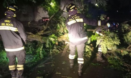 Forte vento e pioggia: una trentina gli interventi dei Vigili del Fuoco