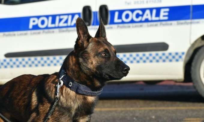 Sequestrate sostanze stupefacenti in sei distinte operazioni