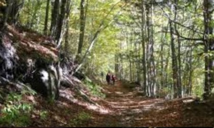 Indagini Nas: per Federconsumatori è necessario fare i nomi dei rifugi che offrivano mortadella di venti anni fa