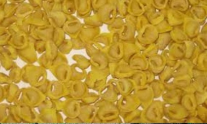 Presentata una tesi sul tortellino di Castelfranco Emilia