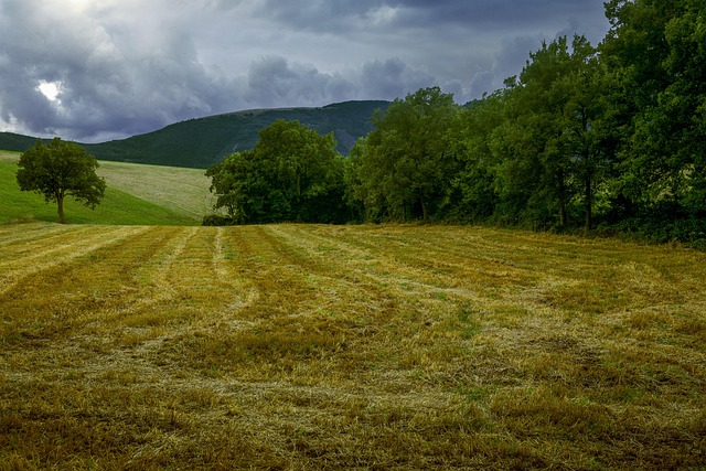 Estate 2025: l’Italia sceglie la montagna; gli Appennini registrano quasi ovunque il tutto esaurito