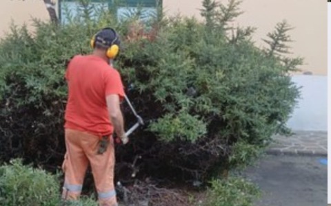 Stanziati 180 mila euro per il verde stradale