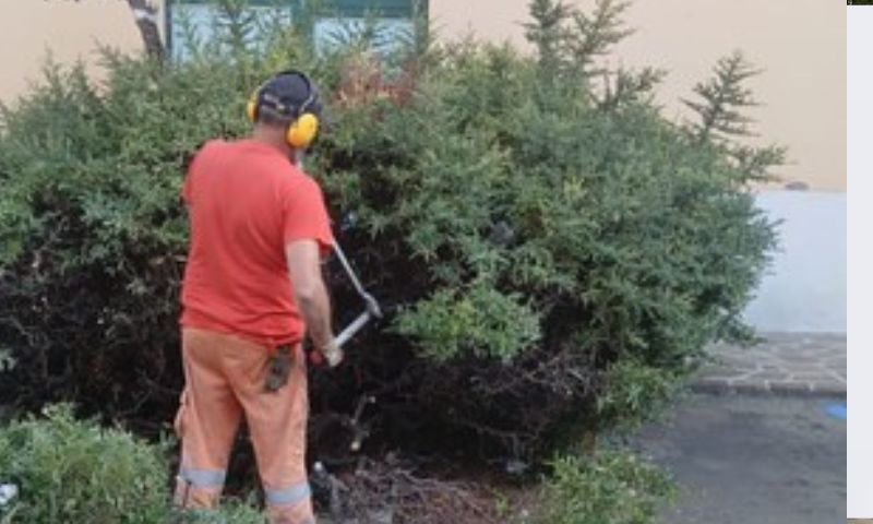 Stanziati 180 mila euro per il verde stradale