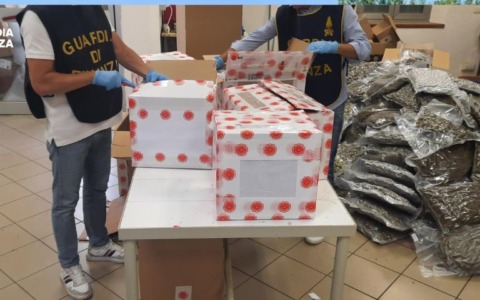 Sequestrate oltre  500 Kg di infiorescenze di canapa  pronte per la commercializzazione