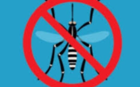 Zanzara, trattamenti precauzionali in scuole primarie e medie