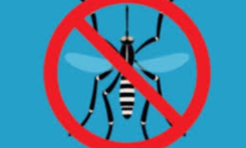 Zanzara, trattamenti precauzionali in scuole primarie e medie