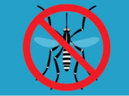 Non è Chikungunya, sospesi i trattamenti in via Siena