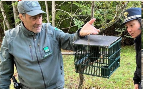 Caccia: ancora controlli nell’Alto Appennino modenese