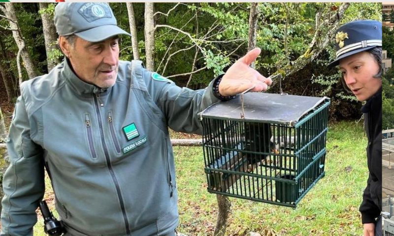 Caccia: ancora controlli nell’Alto Appennino modenese