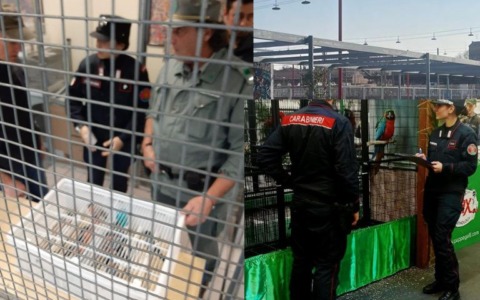 Tre giorni di controlli alla Rassegna Ornitologica a Modena Fiere